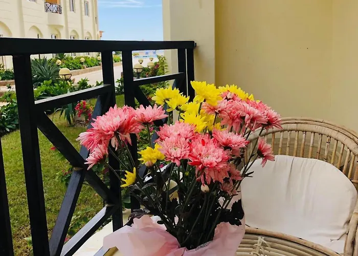Sahl Hasheesh 1+1 *